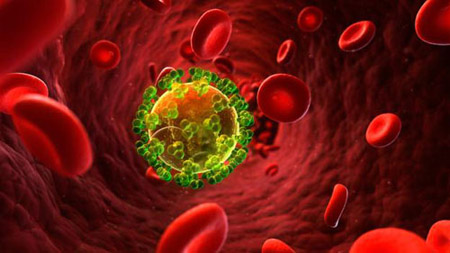 Một tế bào bị nhiễm HIV.